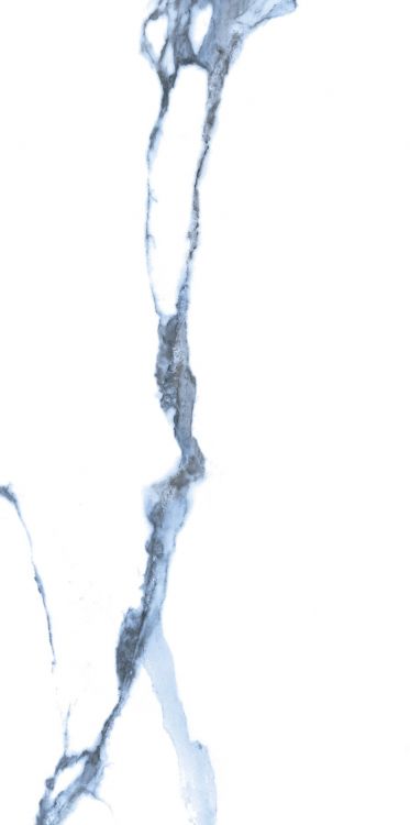 Calacatta Blue Matte 12 x 24